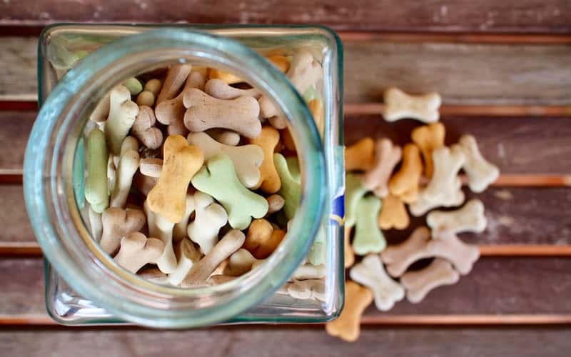 Alimentación de los perros.