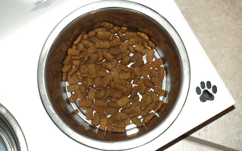 números de comidas para un perro.